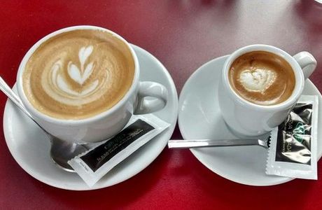 Albatross Cafe