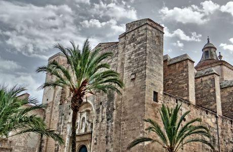 Mercat Des Claustre