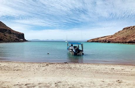 Isla Los Islotes