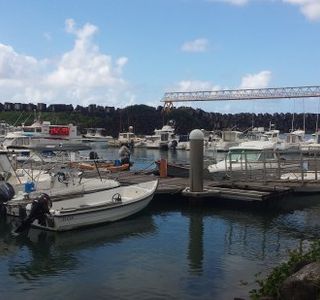 Chauffeur VTC La Reunion