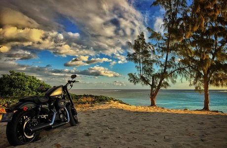Harley Davidson Reunion Flying Twin