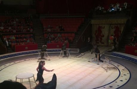 Bryansk State Circus