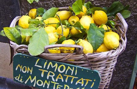 Lemon Bay