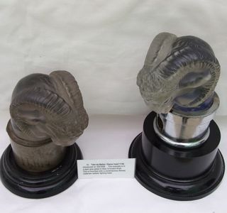 The Lalique Gallery