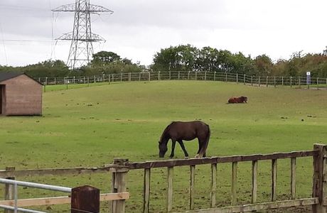 Penny Farm