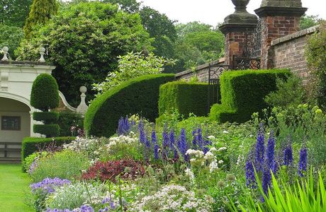 Enchanted Gardens