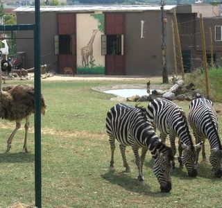 Bogazici Hayvanat Bahcesi