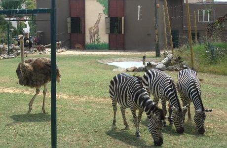 Bogazici Hayvanat Bahcesi