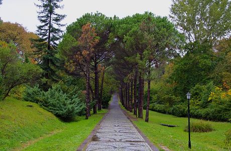 Ataturk Arboretum