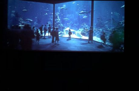 Cineworld Sinemalari