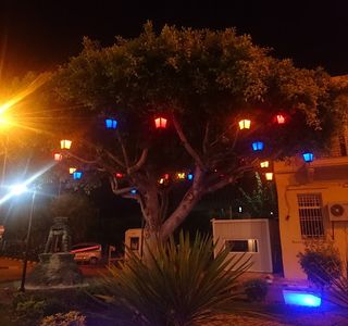 Nevizade