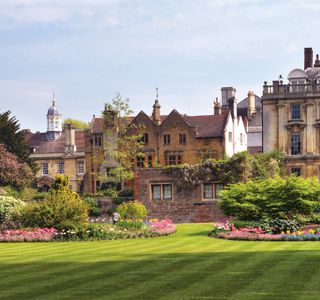 Clare Fellows' Gardens