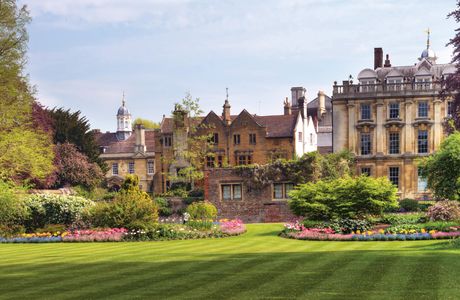 Clare Fellows' Gardens