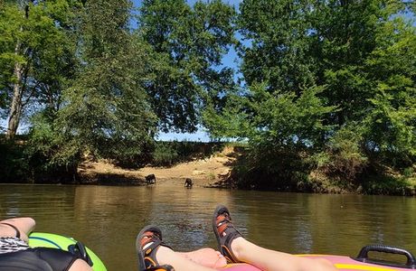 River Ratz