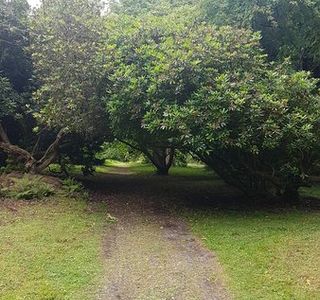 Gelli Aur Cafe and Country Park