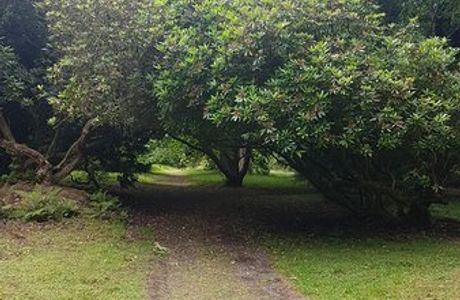 Gelli Aur Cafe and Country Park