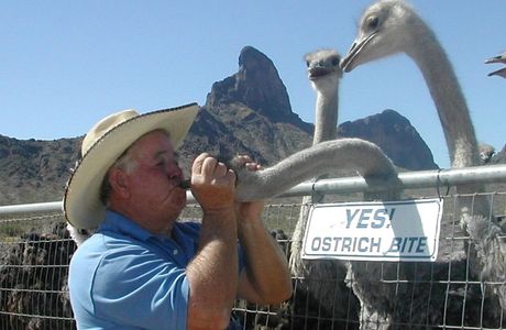 Rooster Cogburn Ostrich Ranch