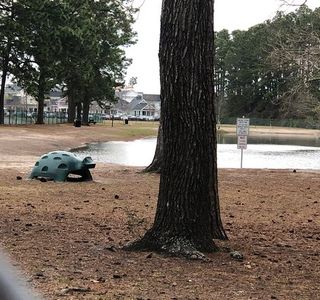 Barc Parc South