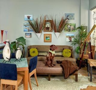 The Coleman Collection