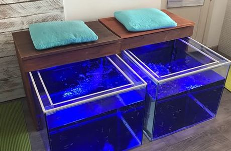 Fish Massage