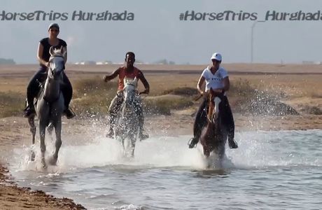 HorseTrips Hurghada