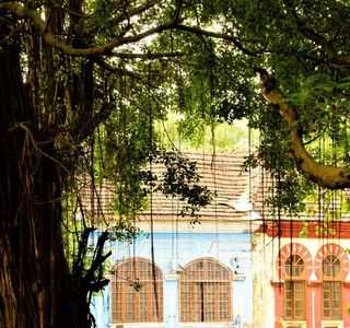 Campal Gardens