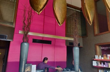Snip Salons and Spa