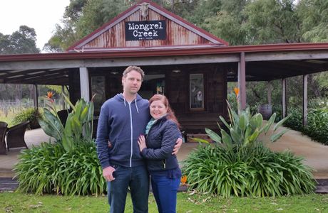 Mongrel Creek Wines