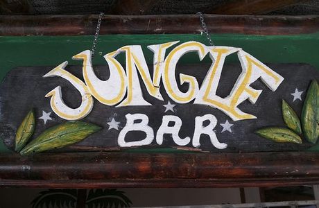 Jungle Bar