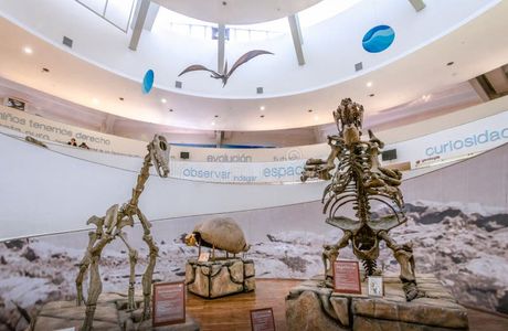 Museo Provincial De Ciencias Naturales Florentino Ameghino
