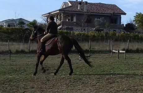 ASD Ranch Country Life