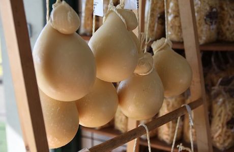 Caseificio Santa Lucia