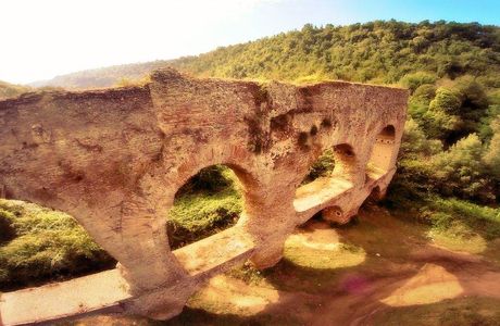 Faggeta Vetusta Coppo del Morto