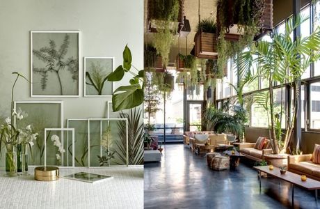 Urban Jungle