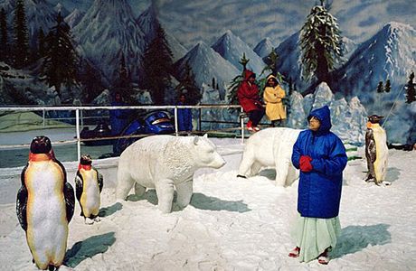 Snow World