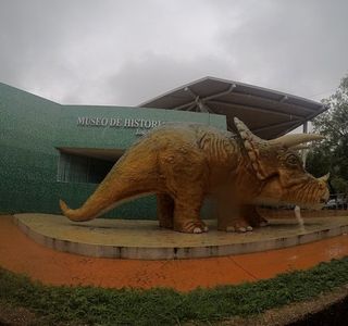 Museo de Historia Natural