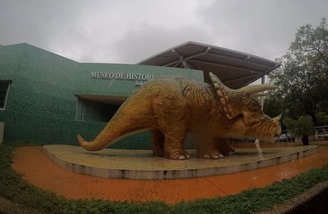 Museo de Historia Natural