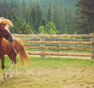 Horseback Riding Tours