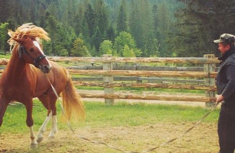 Horseback Riding Tours