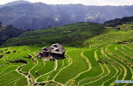 Youxian Terraced Field