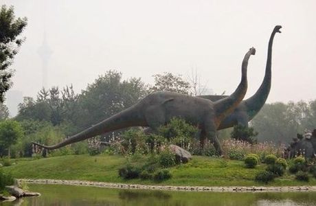 Tianjin Zoological Gardens
