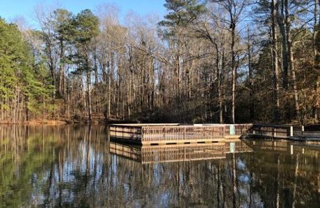 Clinton Nature Preserve