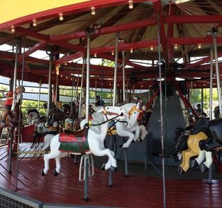 Antique Carousel