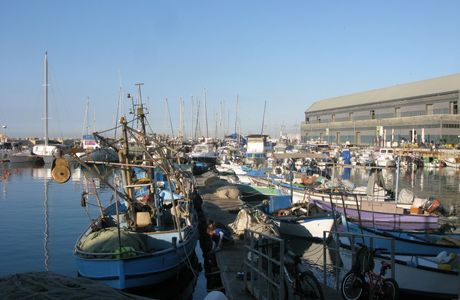 Old Tel Aviv Port Area