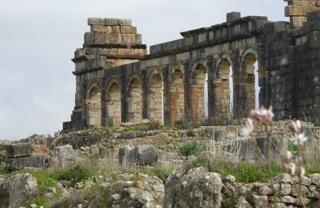 Volubilis