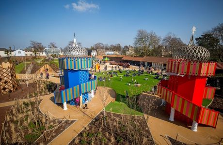 The Magic Garden
