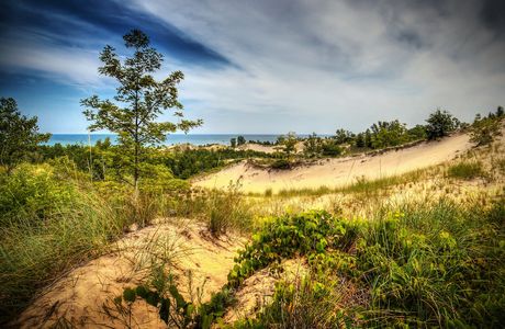 Indiana Dunes State Park