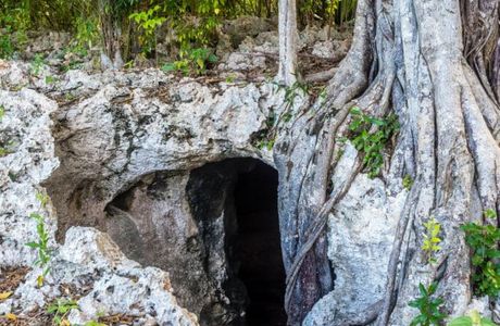 Cayman Brac Caves