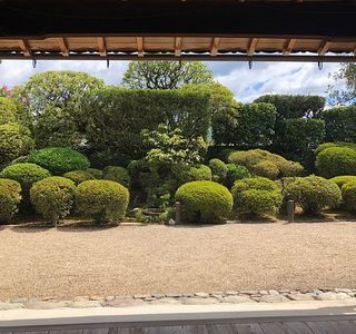 Kongoji Temple