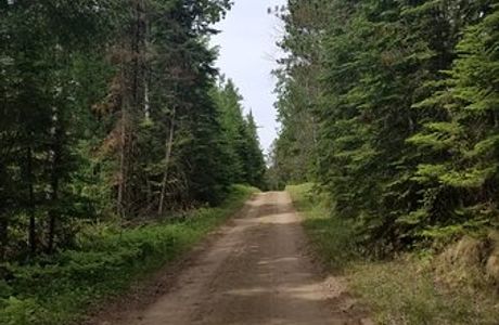Hayes Lake State Park